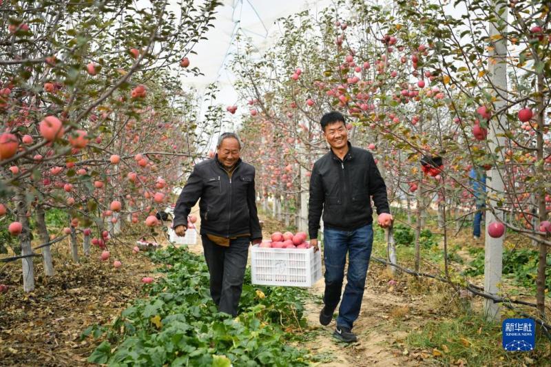 奔赴充满光荣和梦想的远征——以习近平同志为核心的党中央引领亿万人民踏上新征程述评(图4)