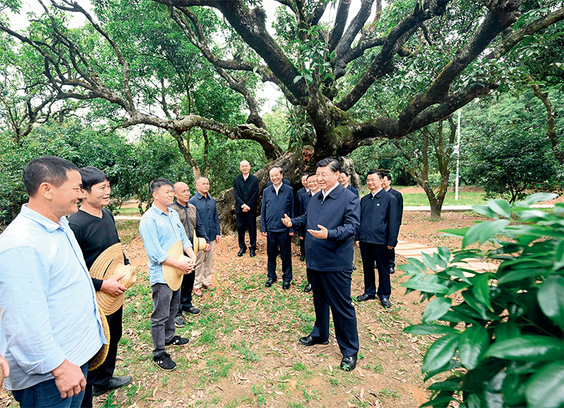 《求是》杂志发表习近平总书记重要文章《加快构建新发展格局 把握未来发展主动权》(图2)