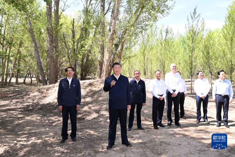 习近平在内蒙古巴彦淖尔考察并主持召开加强荒漠化综合防治和推进“三北”等重点生态工程建设座谈会(图6)