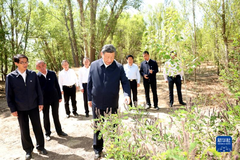 习近平在内蒙古巴彦淖尔考察并主持召开加强荒漠化综合防治和推进“三北”等重点生态工程建设座谈会(图8)