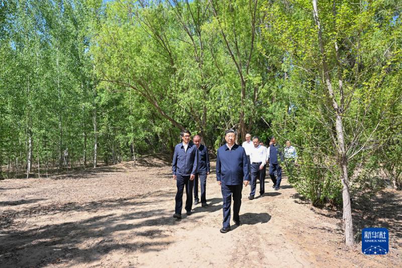 习近平在内蒙古巴彦淖尔考察并主持召开加强荒漠化综合防治和推进“三北”等重点生态工程建设座谈会(图9)