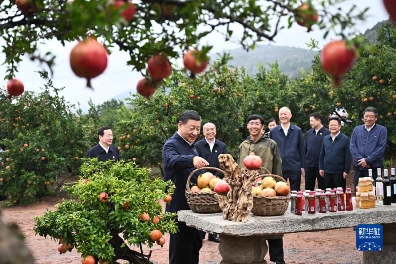 习近平在浙江考察时强调 始终干在实处走在前列勇立潮头 奋力谱写中国式现代化浙江新篇章 返京途中在山东枣庄考察(图10)