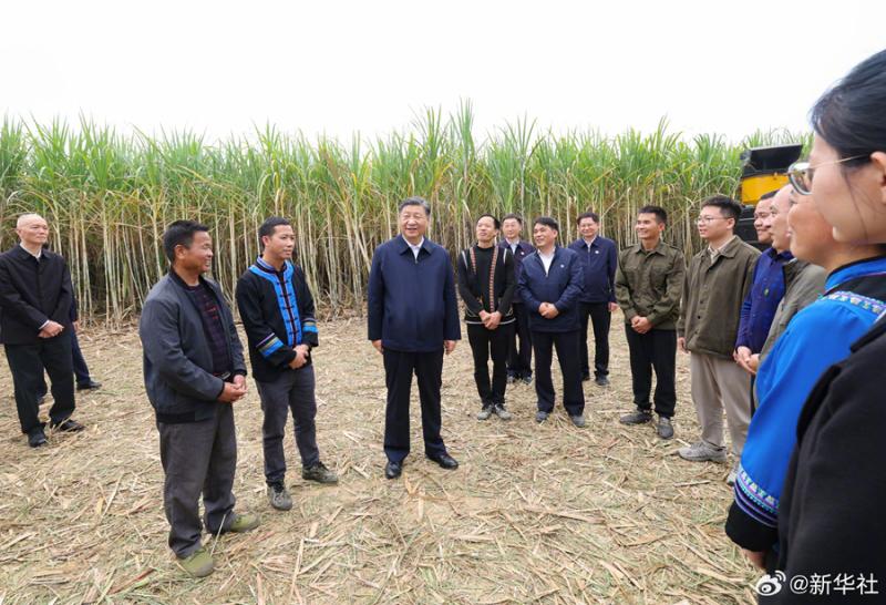 习近平在广西来宾市考察调研(图4)