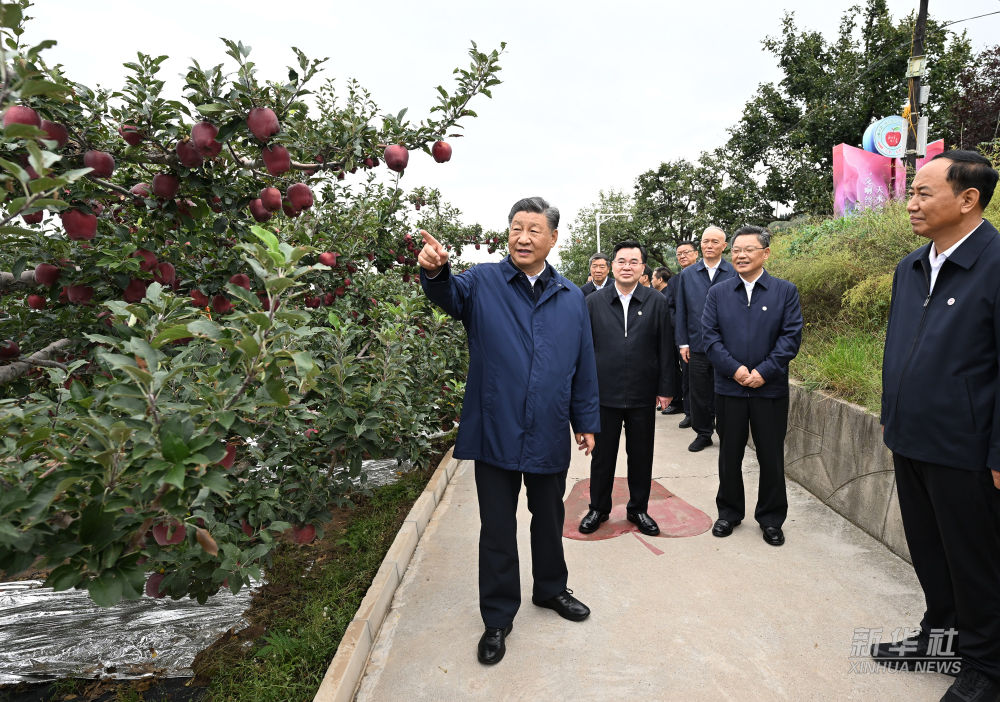 习近平在陕西宝鸡市和甘肃天水市考察调研(图7)