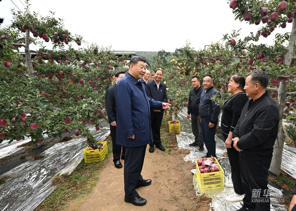 习近平在陕西宝鸡市和甘肃天水市考察调研(图8)