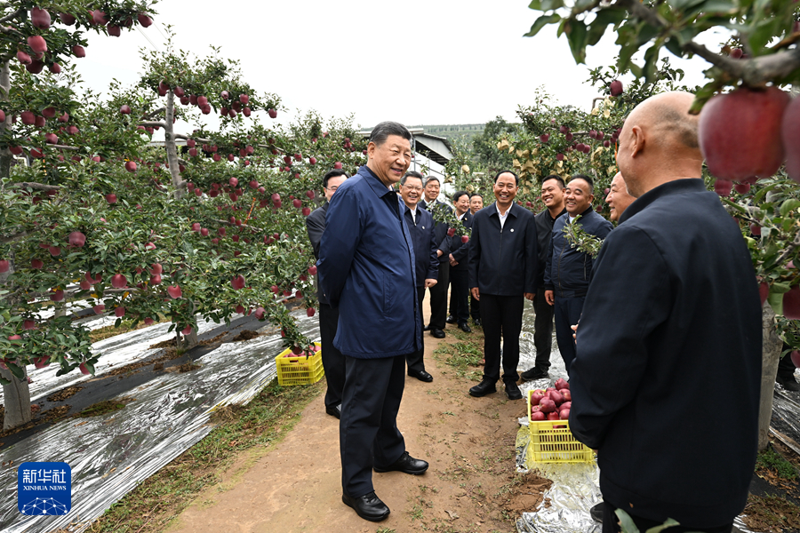 习近平在甘肃考察时强调 深化改革勇于创新苦干实干富民兴陇 奋力谱写中国式现代化甘肃篇章(图7)