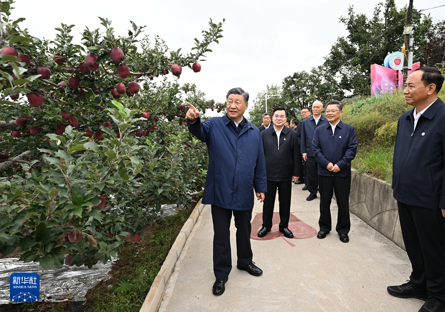 习近平在甘肃考察时强调 深化改革勇于创新苦干实干富民兴陇 奋力谱写中国式现代化甘肃篇章(图5)