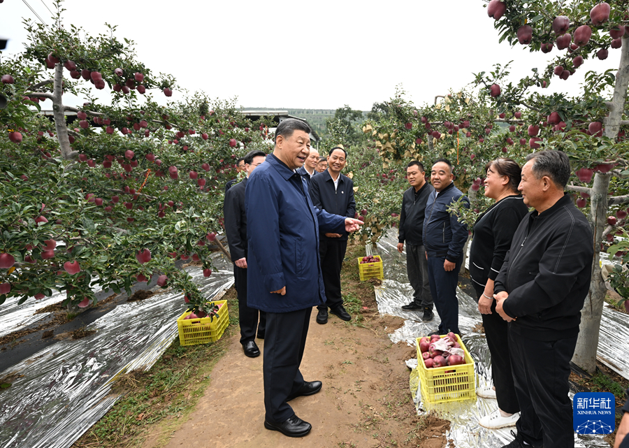 习近平在甘肃考察时强调 深化改革勇于创新苦干实干富民兴陇 奋力谱写中国式现代化甘肃篇章(图6)