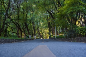 院景